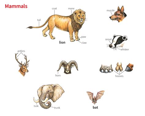 muzzle meaning in tagalog|MUZZLE Meaning in Tagalog .